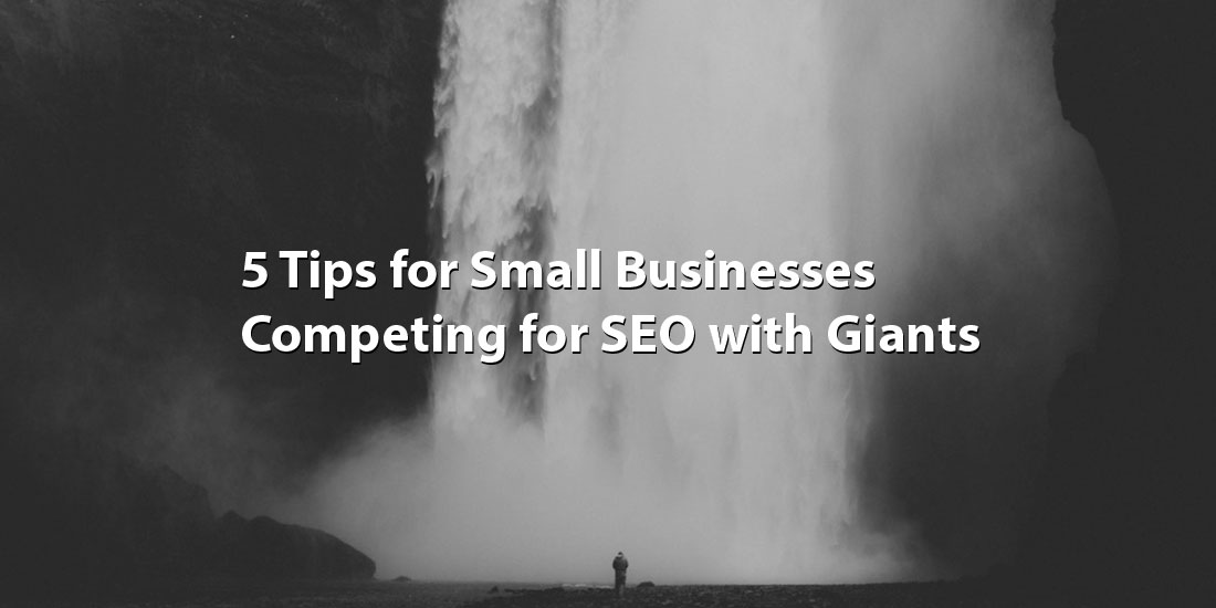 5 Tips for Small Businesses Competing for SEO with Giants
