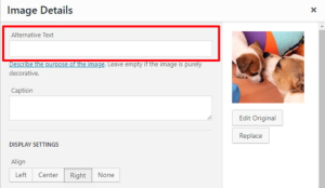 Screenshot of where to add alt text