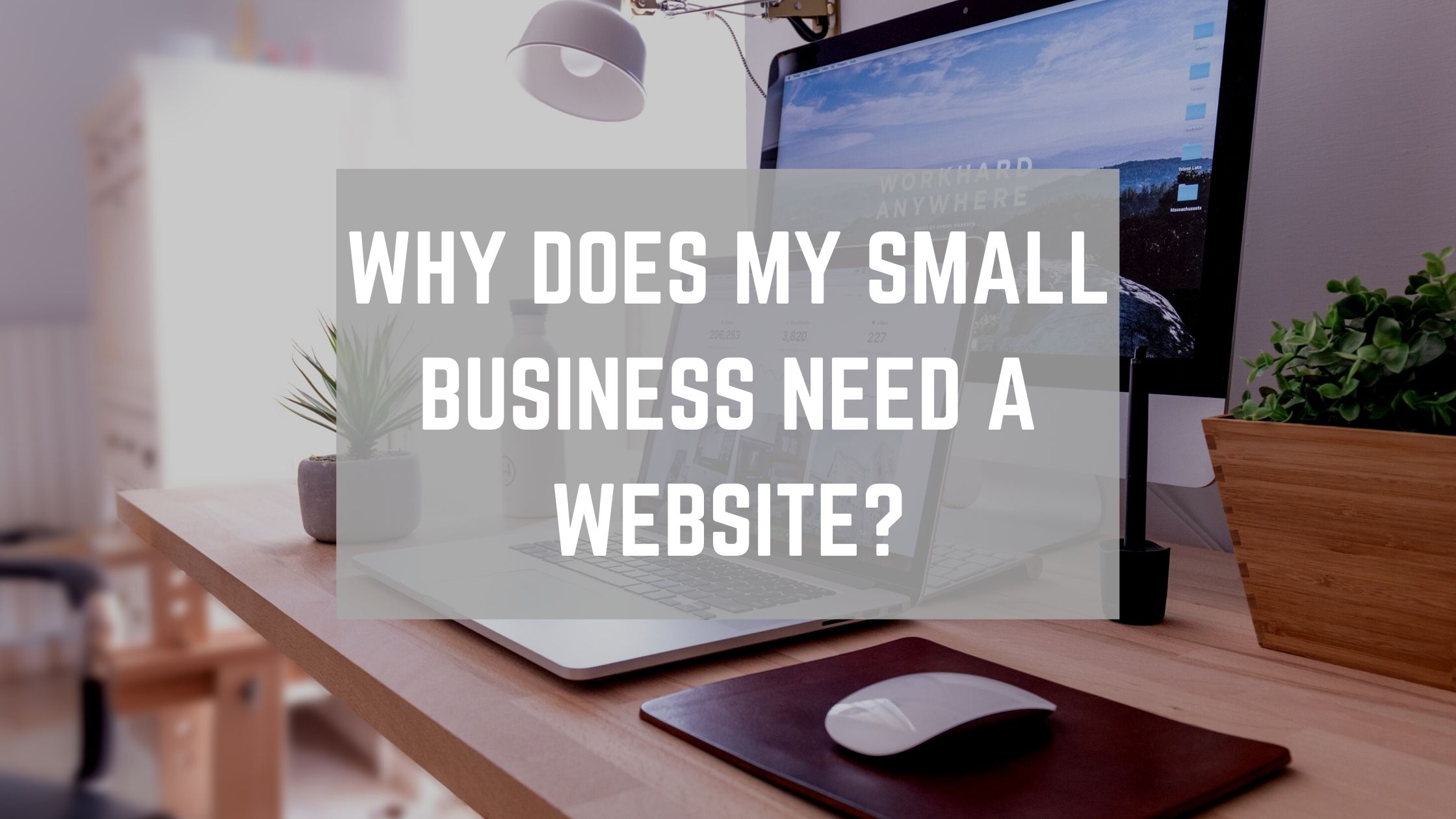 Why Do I Need a Website for My Small Business?