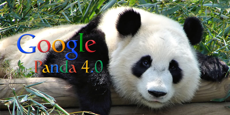 Google Panda 4.0 and What It Means for Small Business Owners